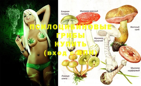 дживик Богданович